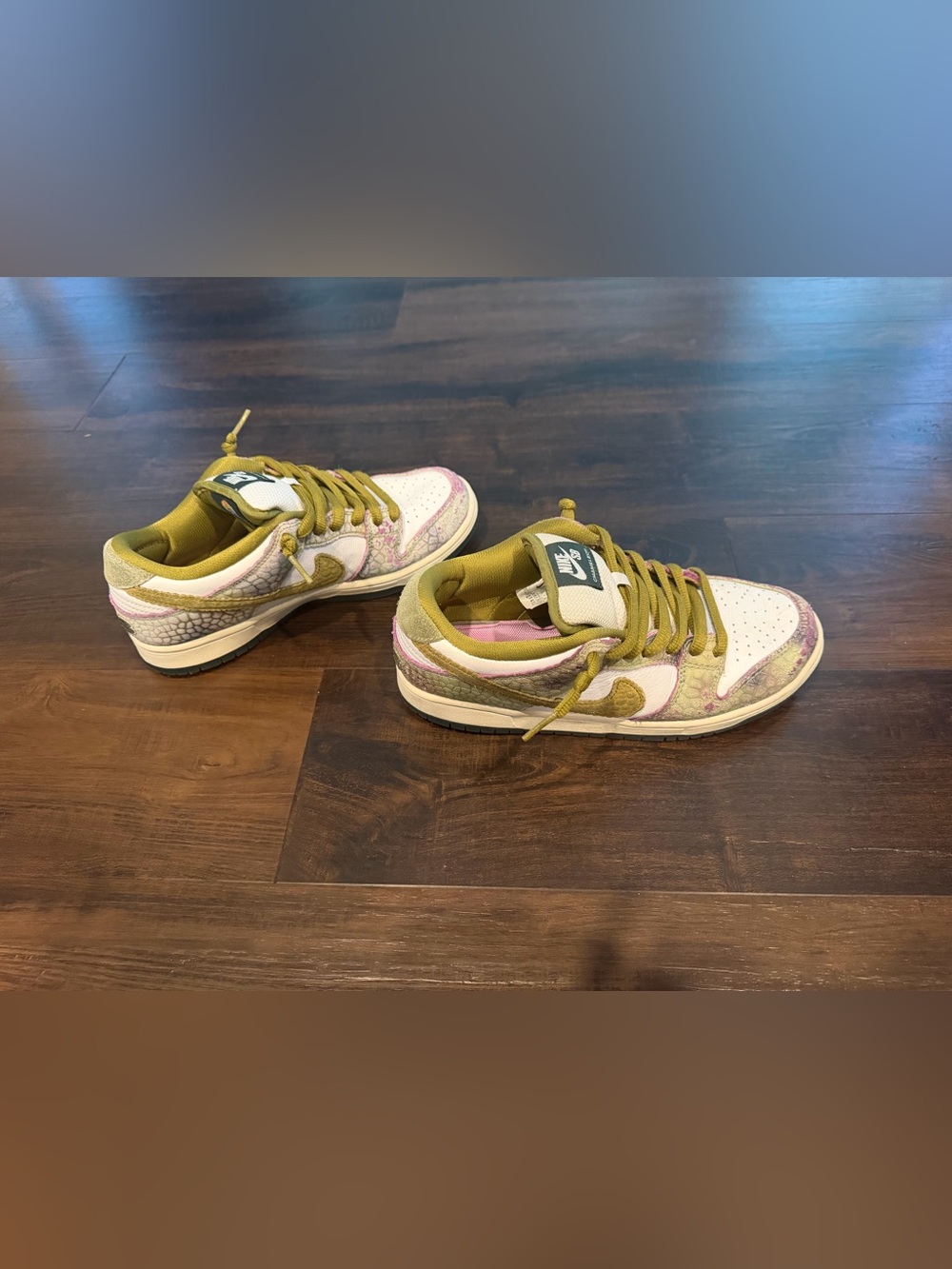 Nike SB Dunk Low Pro Chameleon HJ3386-300 Women’s 6.5 Men’s 5